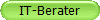 IT-Berater