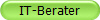 IT-Berater